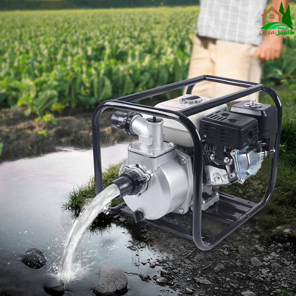 Motobomba de agua LHD WP20